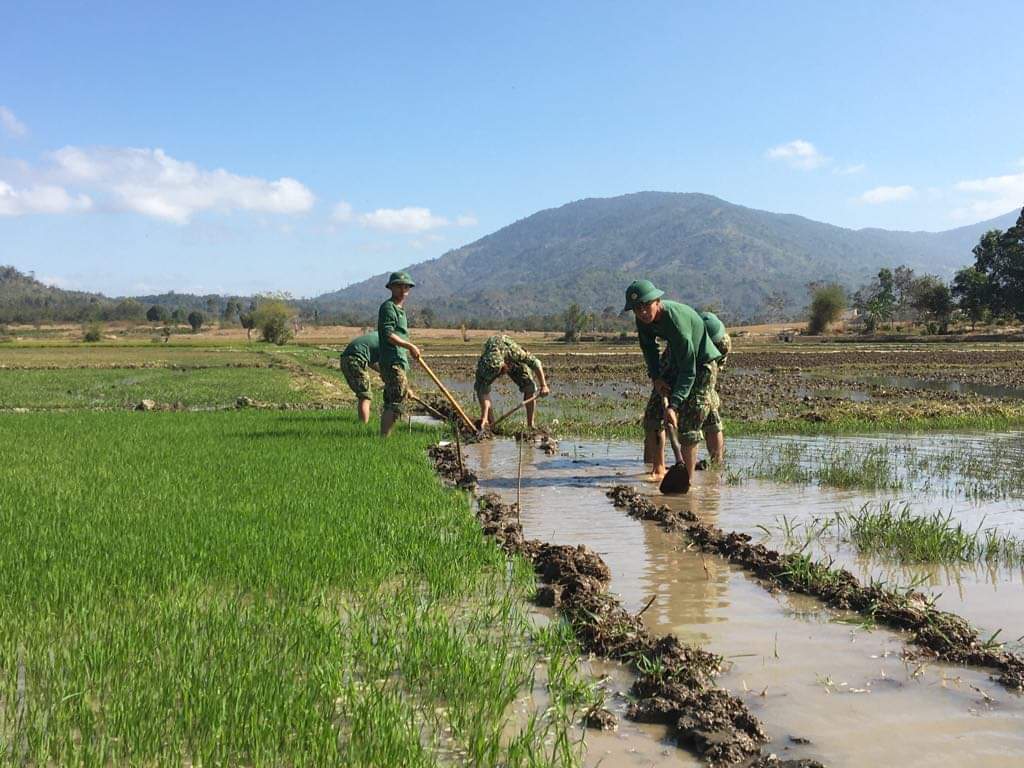 Các chiến sỹ Trung Đoàn 584, Bộ chỉ huy quân sự Tỉnh Đắk Lắk giúp dân nạo vét kênh mương. 