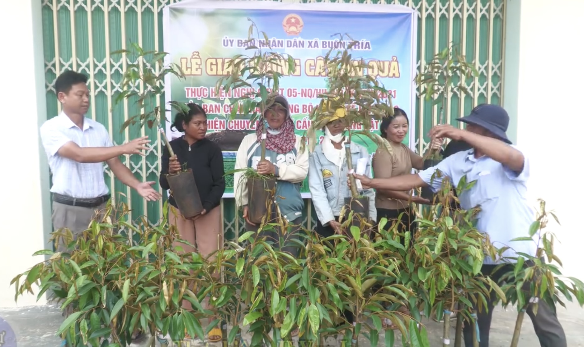 Xã Buôn Tría trao tặng 870 giống cây sầu riêng cho người dân