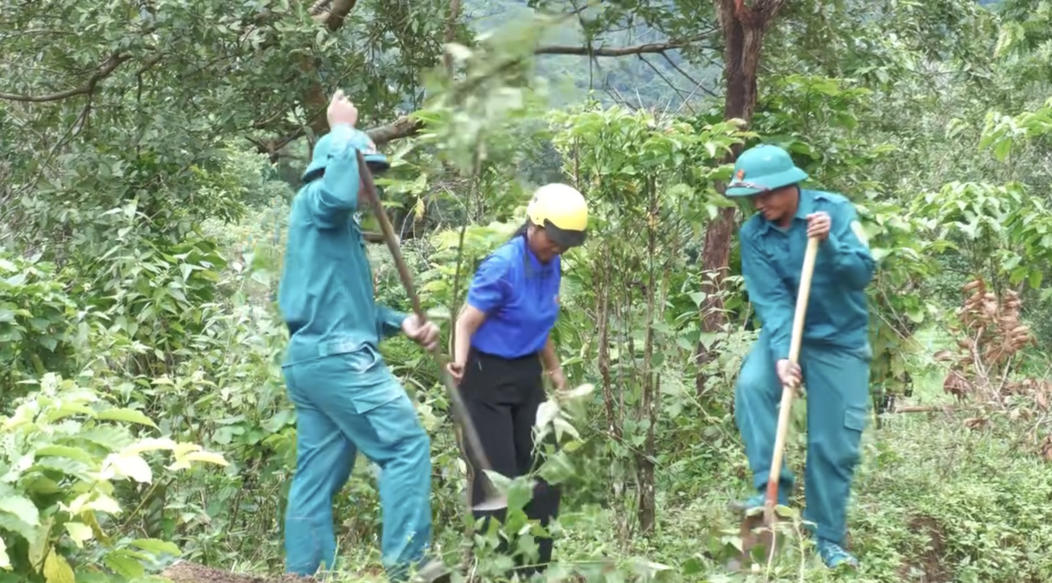 Xã Liên Sơn Lắk phát động trồng cây xanh dọc trục đường lên thác Bìm Bịp
