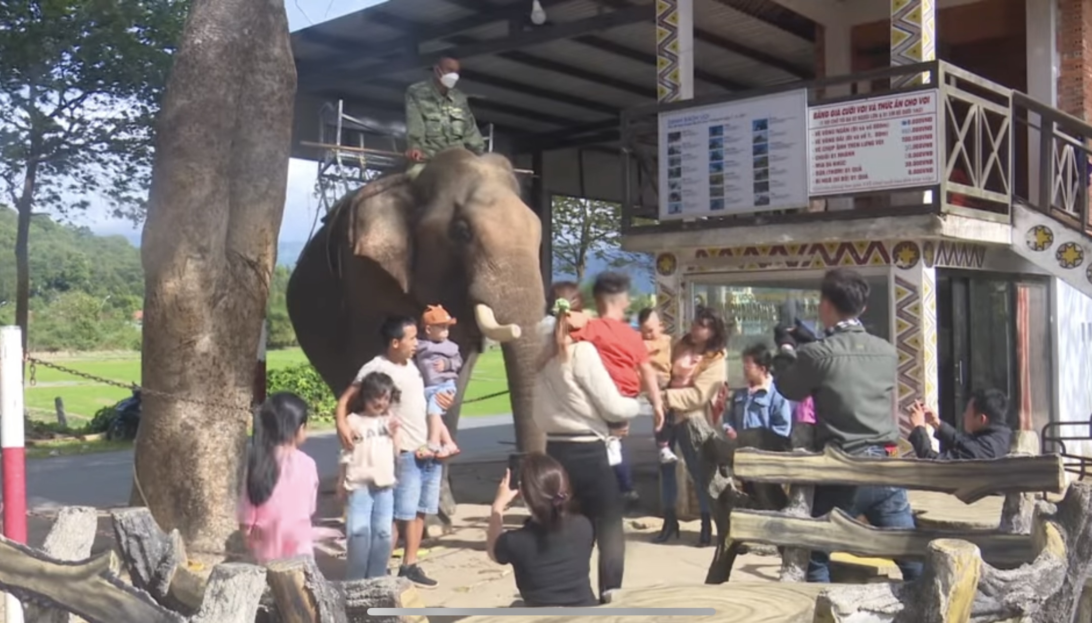 Xã Liên Sơn Lắk phối hợp với Tổ chức Động vật châu Á đẩy mạnh triển khai mô hình du lịch thân thiện với voi